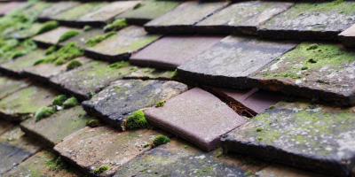 Shaw And Crompton roof repair costs